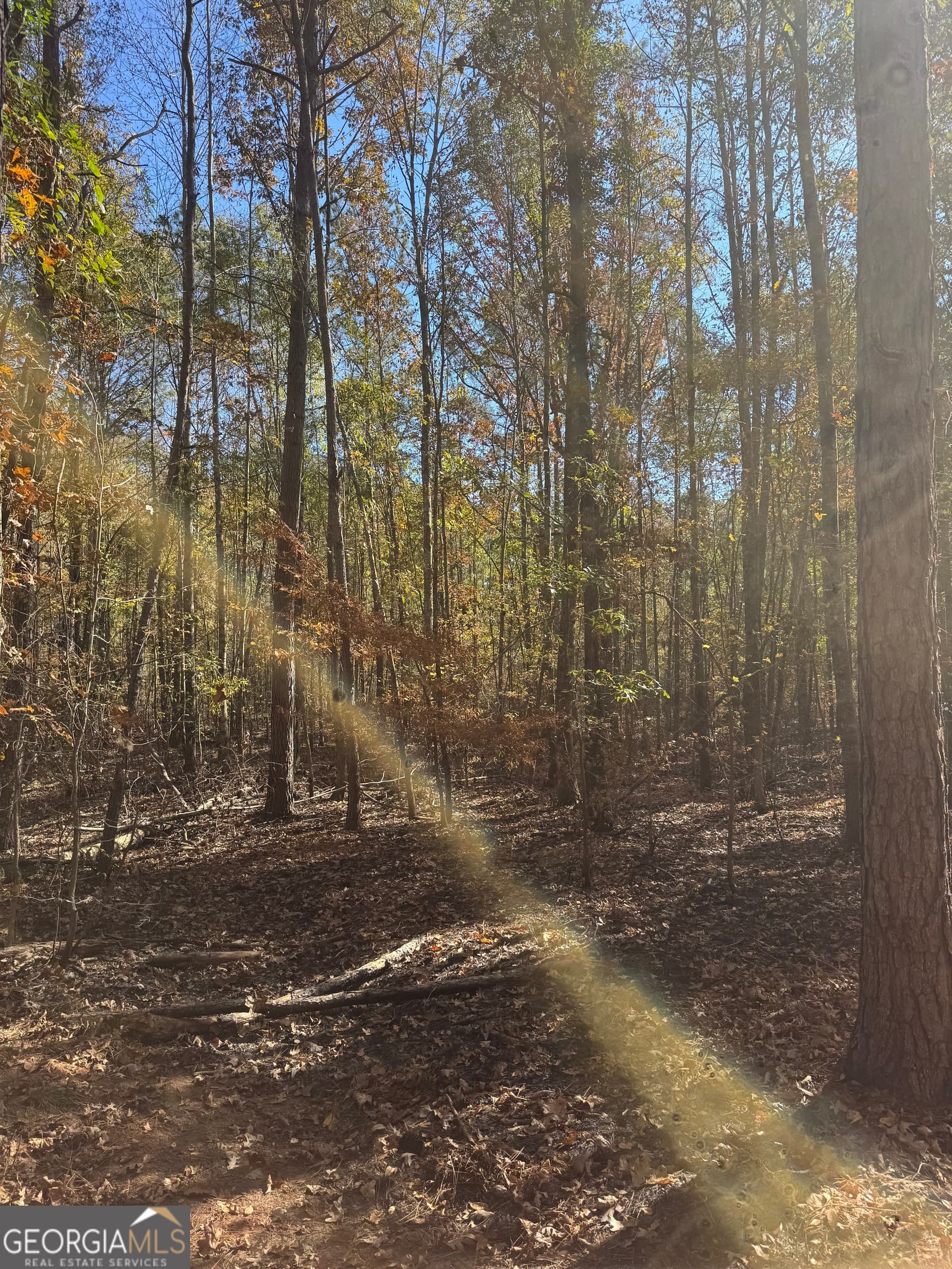 residential lot for sale at 143 W Drummond Road, West Point, GA 31833 — photo 1 of 6
