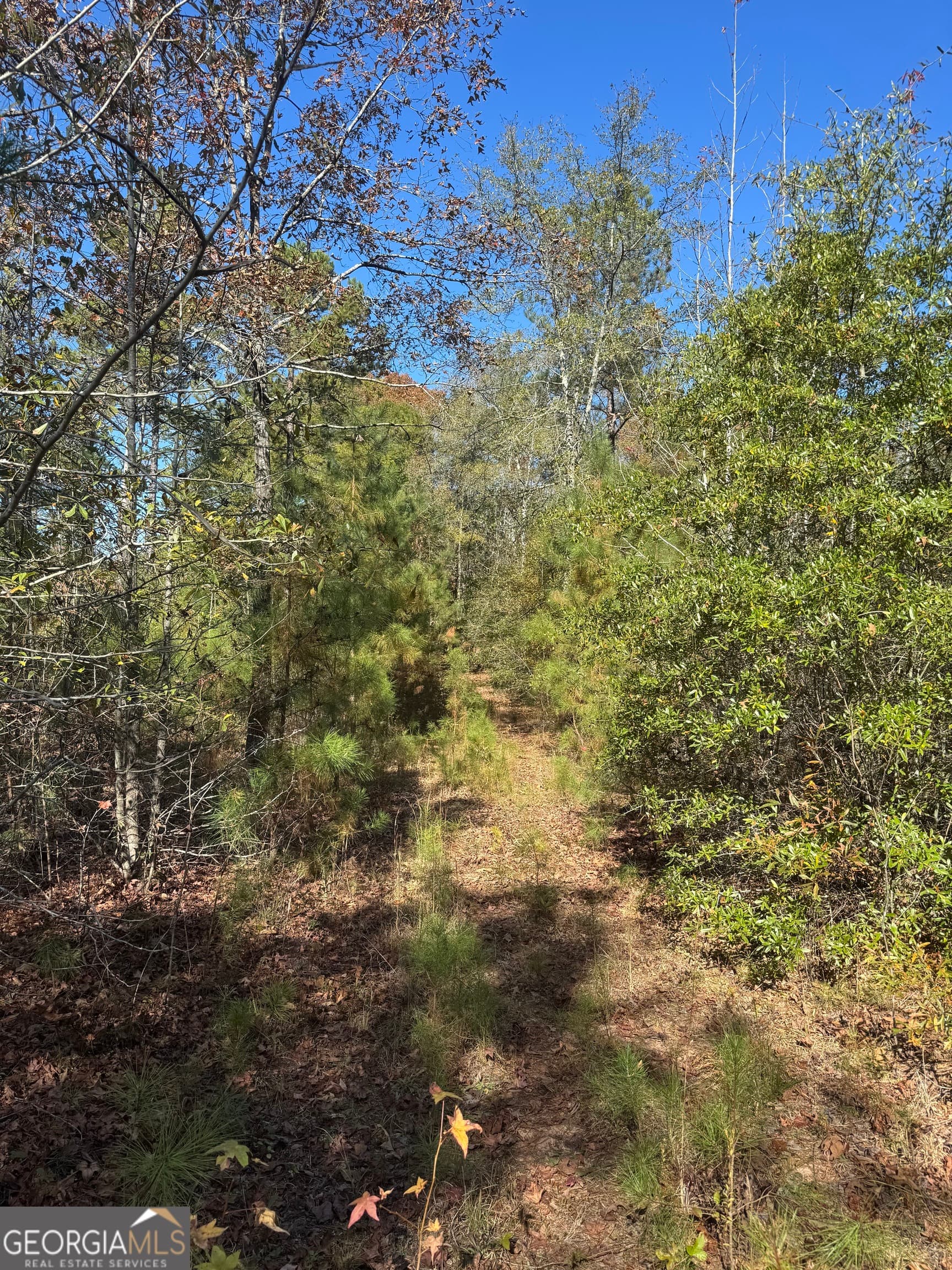 residential lot for sale at 143 W Drummond Road, West Point, GA 31833 — photo 5