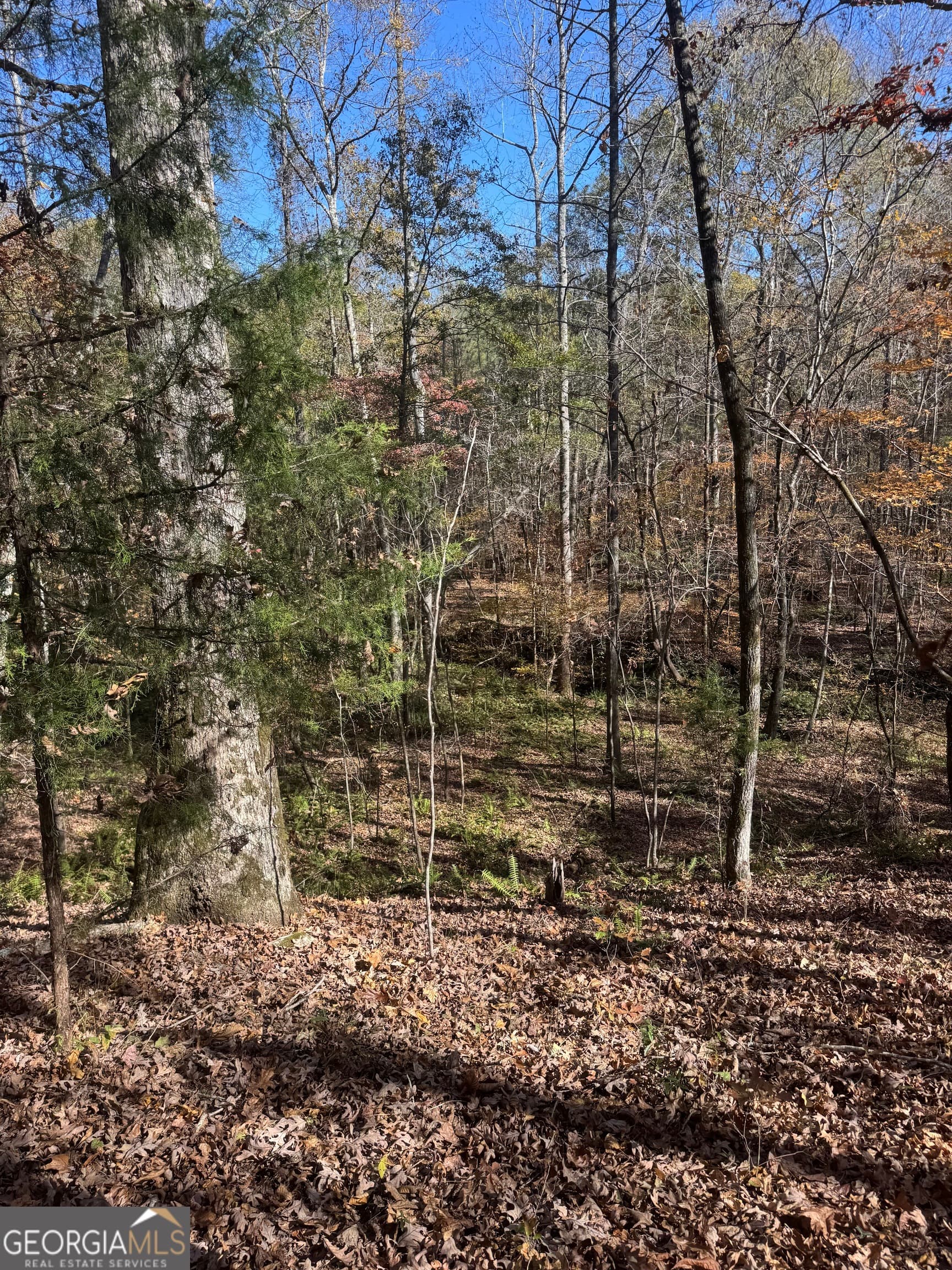 residential lot for sale at 143 W Drummond Road, West Point, GA 31833 — photo 4