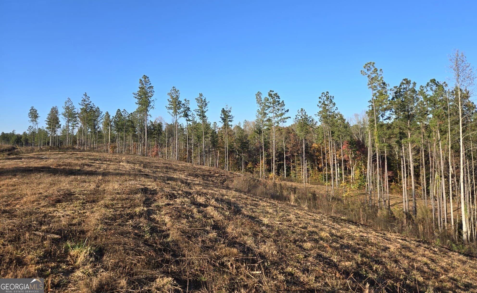 residential lot for sale at LOT 133 River Reach Lane, Talking Rock, GA 30175 — photo 3
