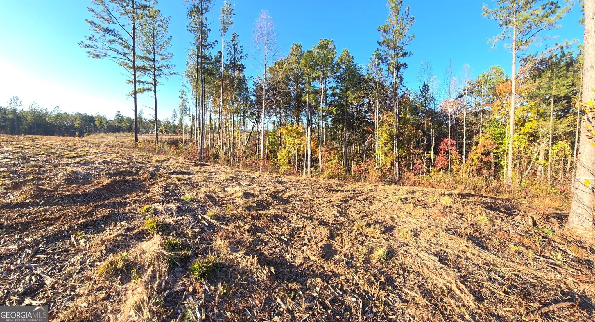 residential lot for sale at LOT 133 River Reach Lane, Talking Rock, GA 30175 — photo 4
