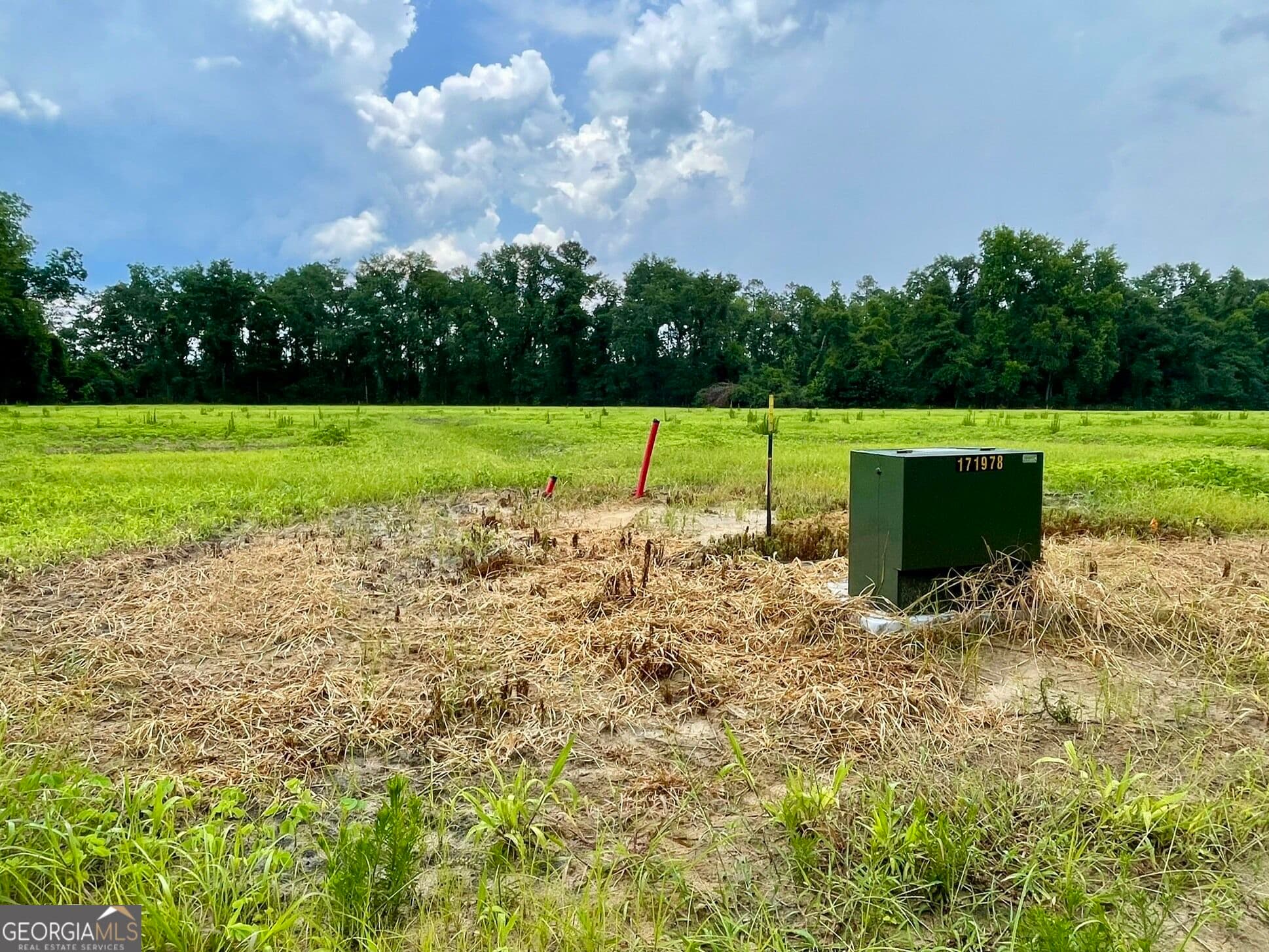 residential lot for sale at 146 WELLER'S Way, Brooklet, GA 30415 — photo 6