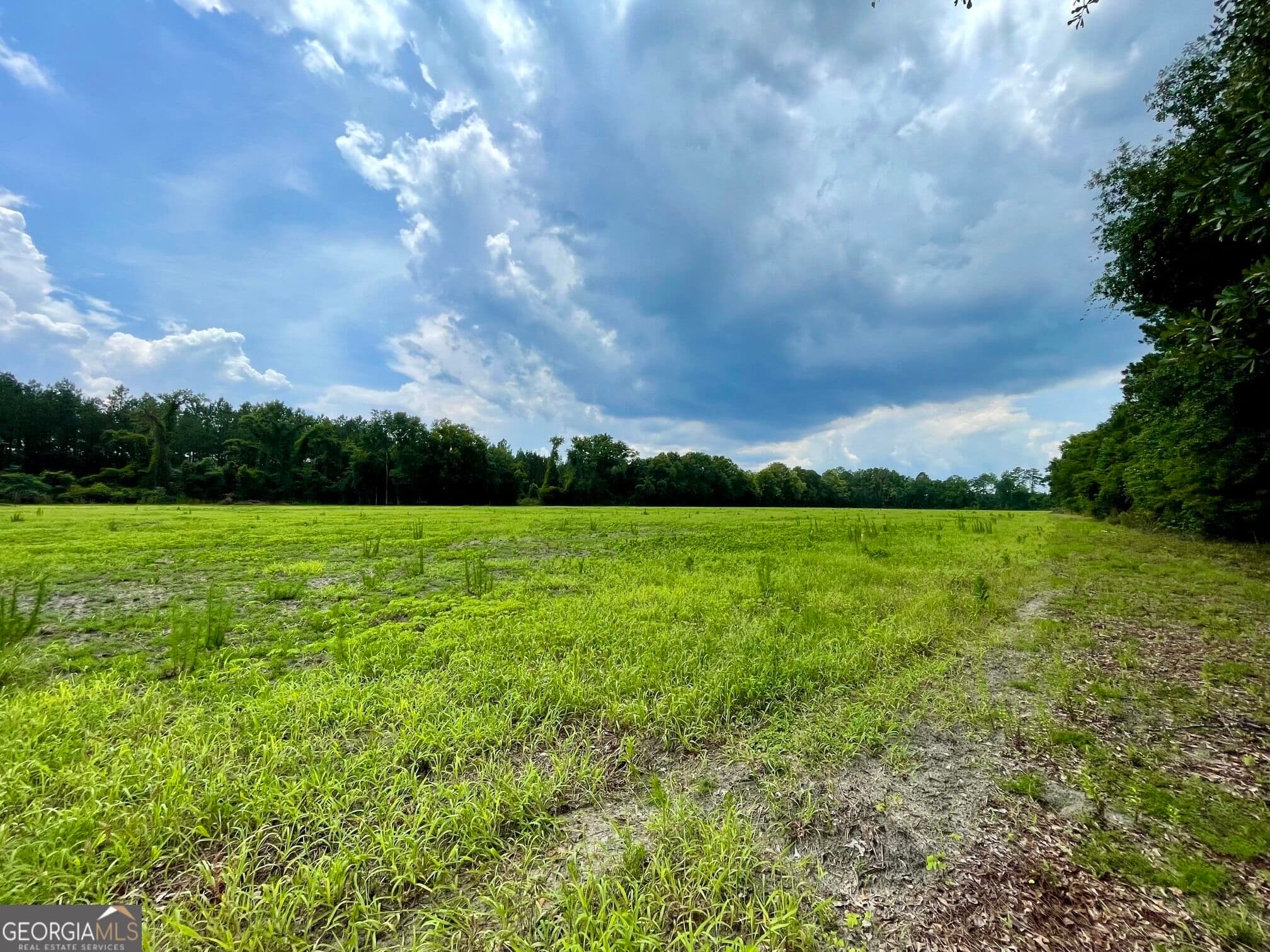 residential lot for sale at 146 WELLER'S Way, Brooklet, GA 30415 — photo 7