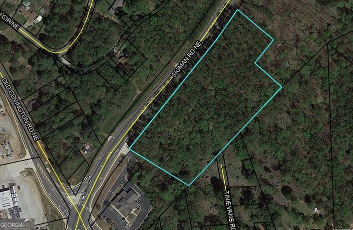 unimproved land for sale at 0 Sigman Road, Conyers, GA 30013 — photo 2