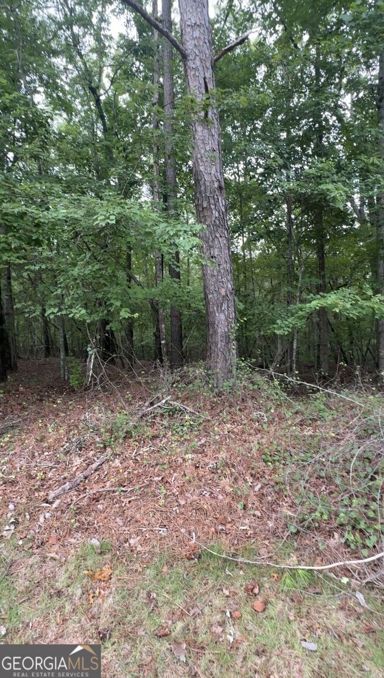 residential lot for sale at 5850 Double Birch, Douglasville, GA 30135 — photo 1 of 1