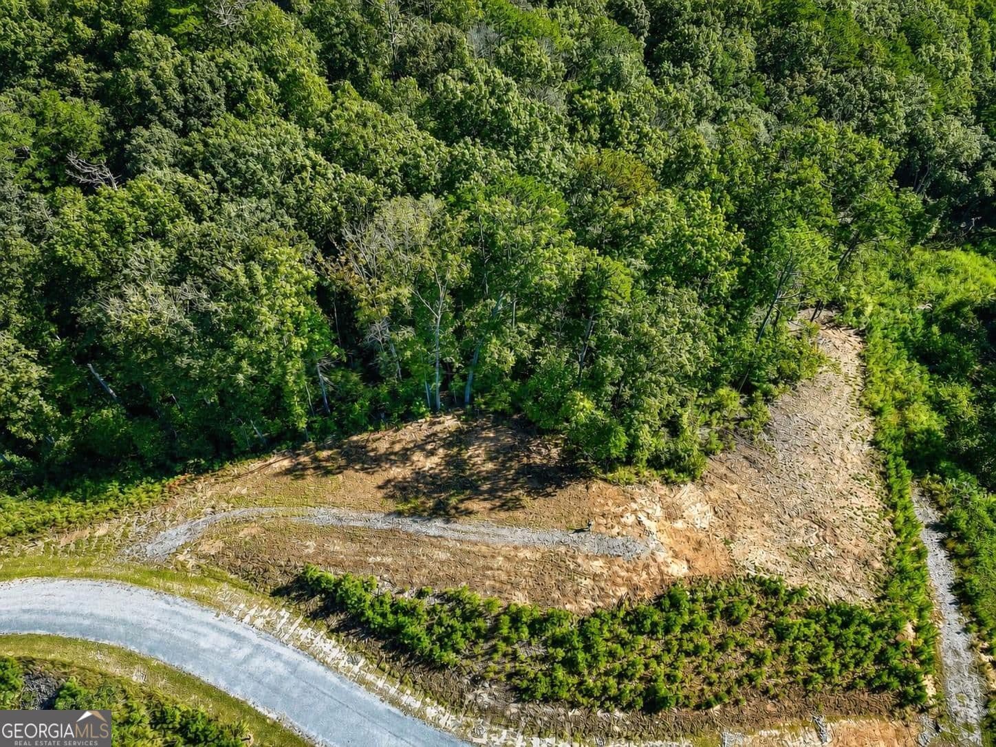residential lot for sale at LT 267 River View Trail LT 267, Ellijay, GA 30540 — photo 6