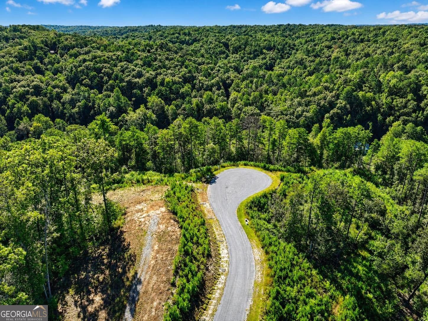 residential lot for sale at LT 267 River View Trail LT 267, Ellijay, GA 30540 — photo 7