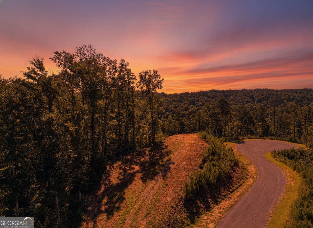 residential lot for sale at LT 267 River View Trail LT 267, Ellijay, GA 30540 — photo 3