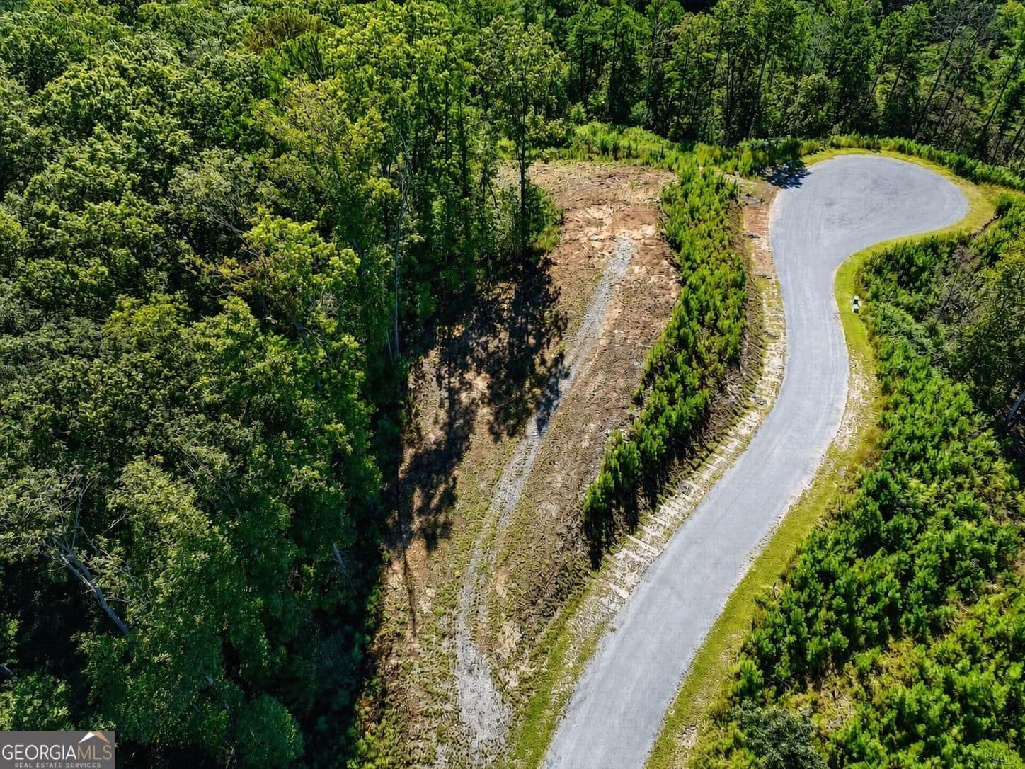 residential lot for sale at LT 267 River View Trail LT 267, Ellijay, GA 30540 — photo 5