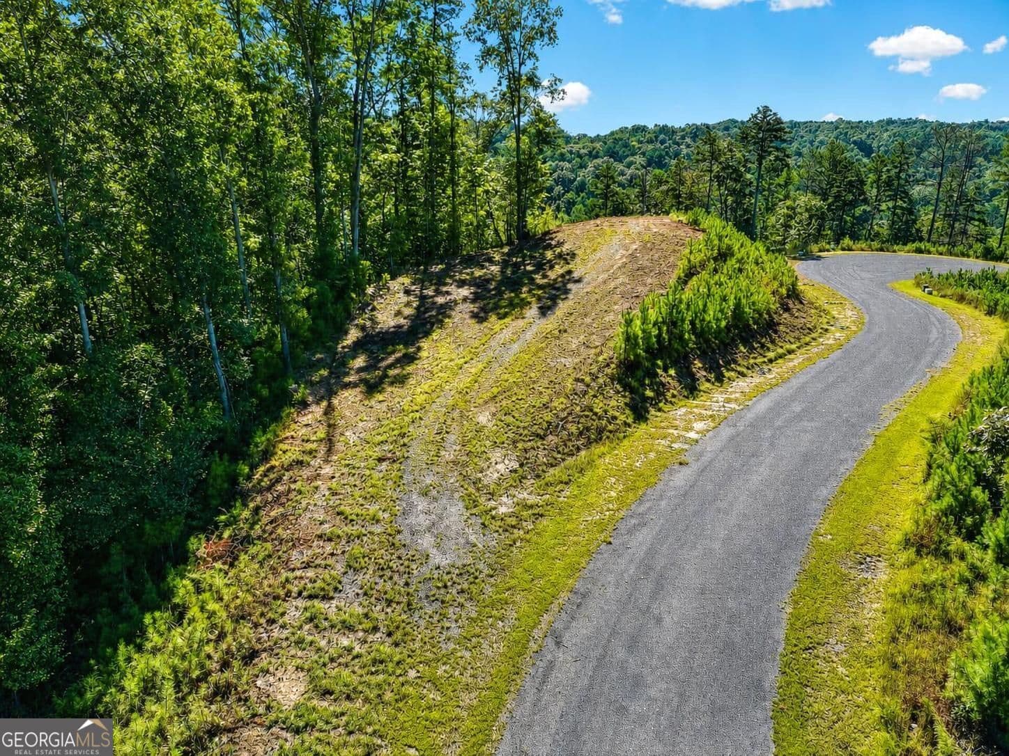 residential lot for sale at LT 267 River View Trail LT 267, Ellijay, GA 30540 — photo 9