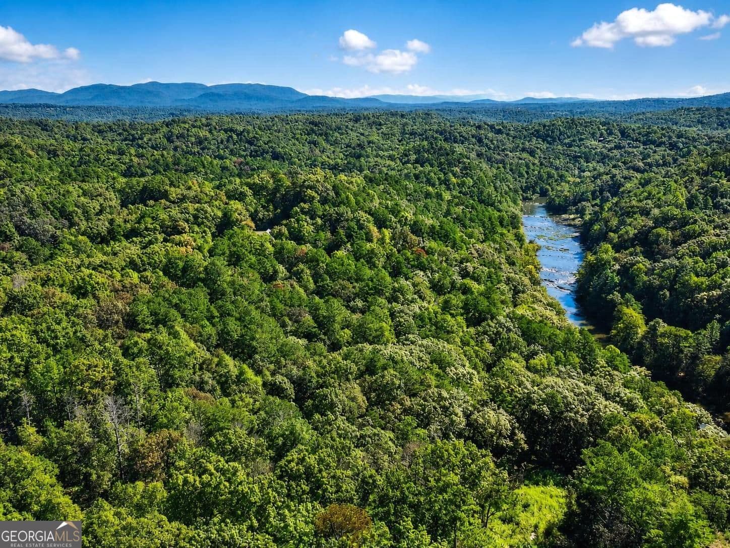 residential lot for sale at LT 267 River View Trail LT 267, Ellijay, GA 30540 — photo 4