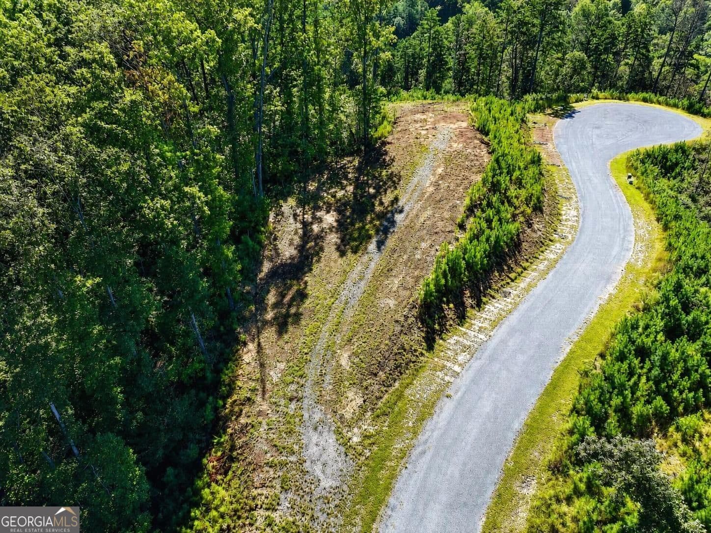 residential lot for sale at LT 267 River View Trail LT 267, Ellijay, GA 30540 — photo 8