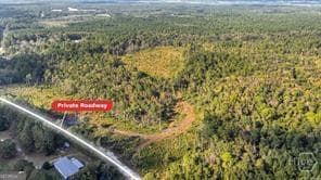 agriculture for sale at 641 Us Highway 80, Ellabell, GA 31308 — photo 3