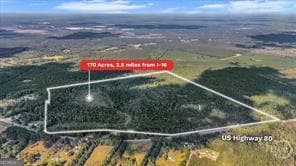 agriculture for sale at 641 Us Highway 80, Ellabell, GA 31308