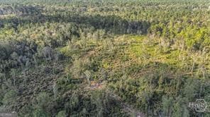 agriculture for sale at 641 Us Highway 80, Ellabell, GA 31308 — photo 10
