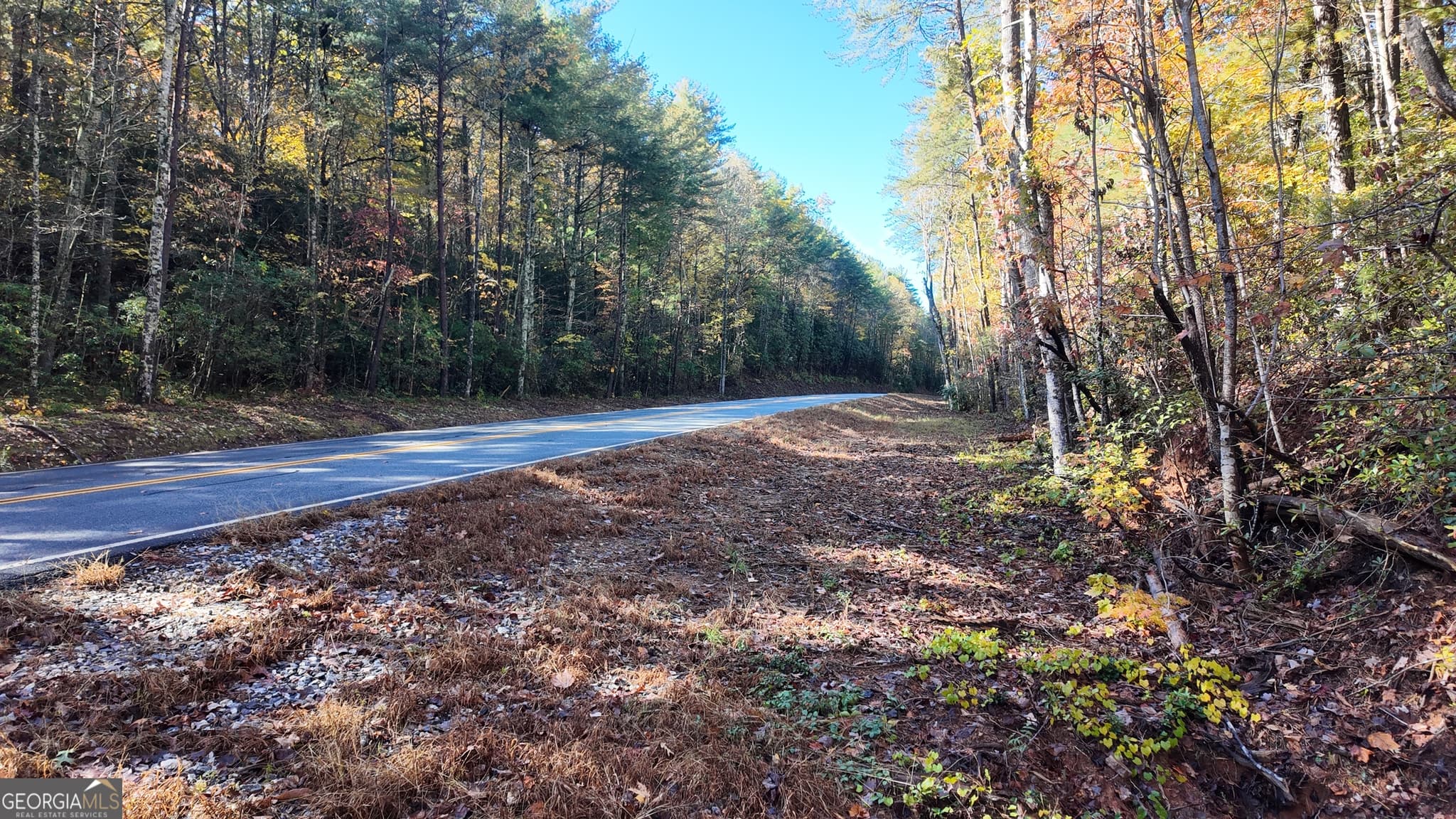 unimproved land for sale at 701 St Hwy 356, Clarkesville, GA 30523 — photo 2
