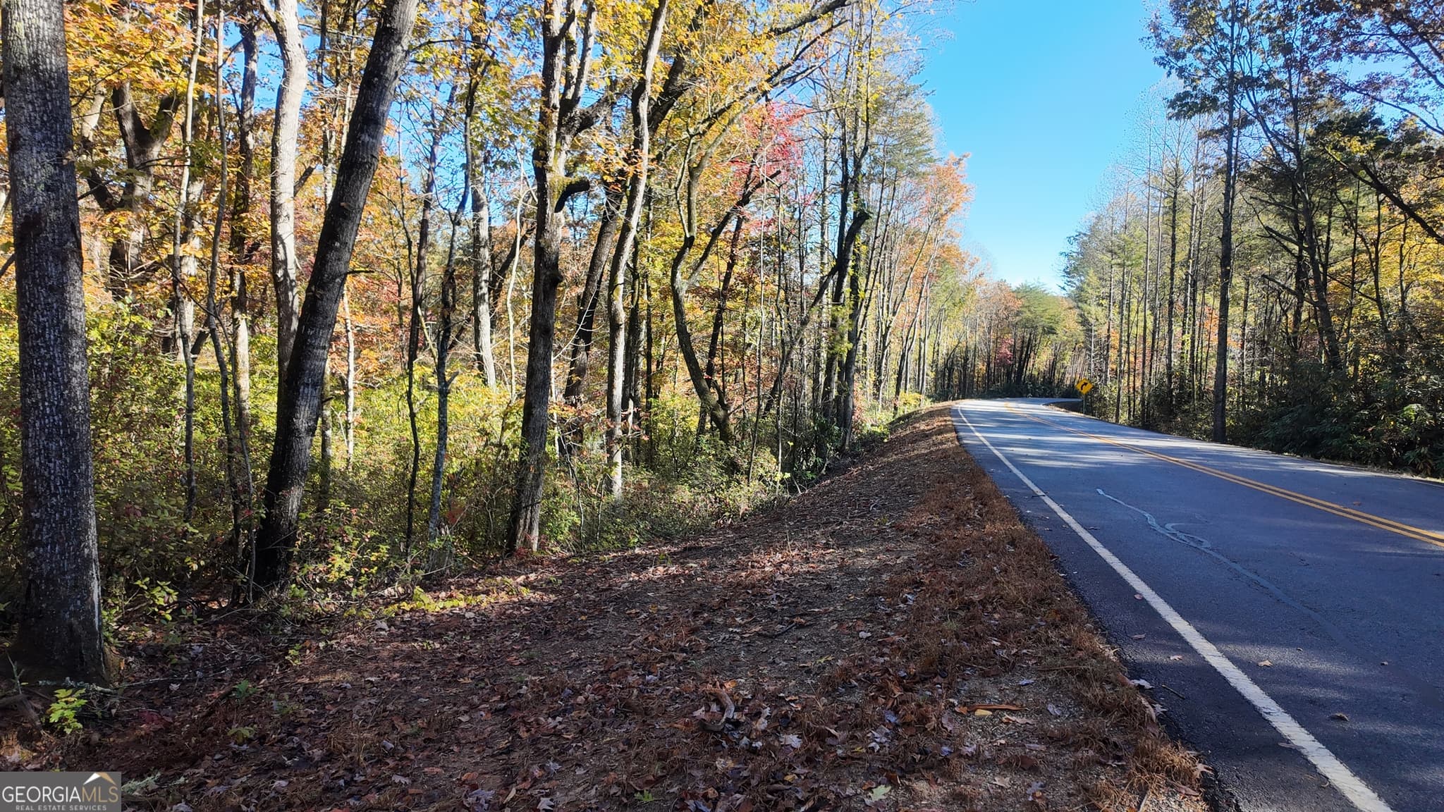 unimproved land for sale at 701 St Hwy 356, Clarkesville, GA 30523 — photo 3