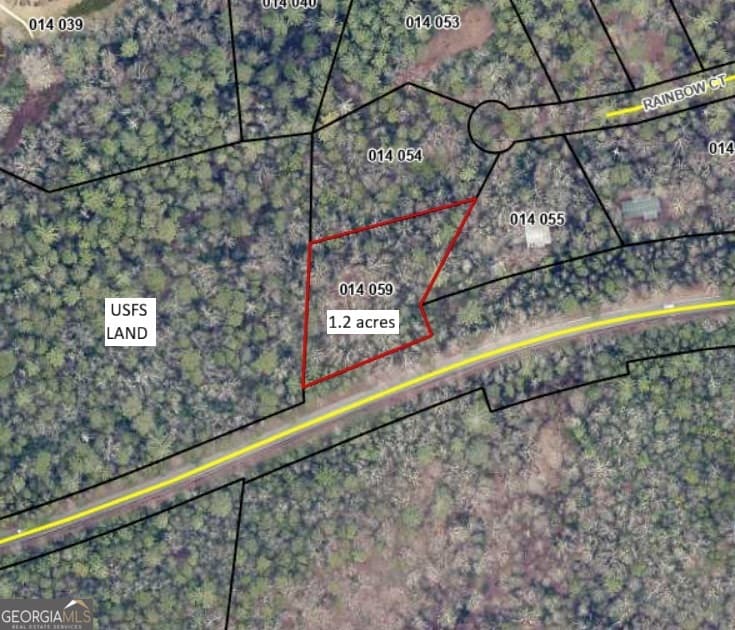 unimproved land for sale at 701 St Hwy 356, Clarkesville, GA 30523 — photo 1 of 30