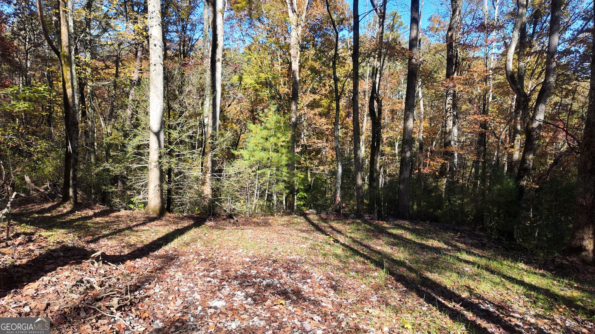 unimproved land for sale at 701 St Hwy 356, Clarkesville, GA 30523 — photo 4