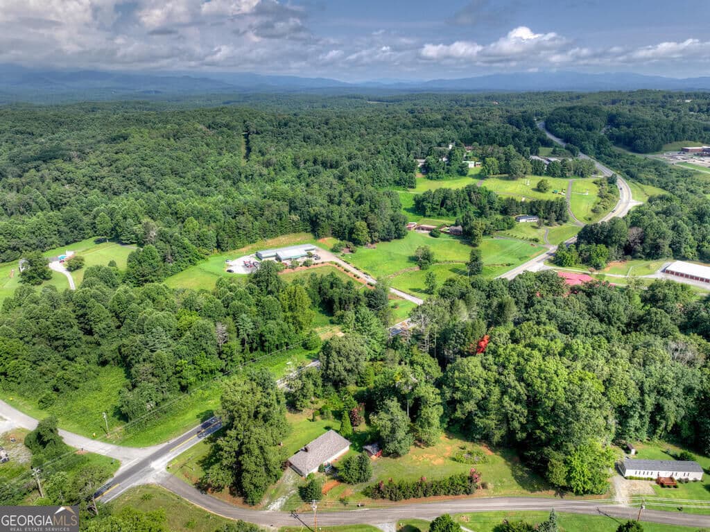 2 bedroom, 2 bathroom, 2,788 sq ft single family residence for sale at 35 E Thomas Road, Blue Ridge, GA 30513 — photo 6