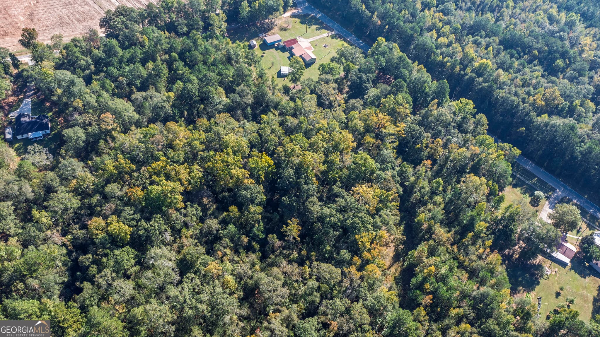 agriculture for sale at 0 Middlebrooks Road, Woodbury, GA 30293 — photo 5