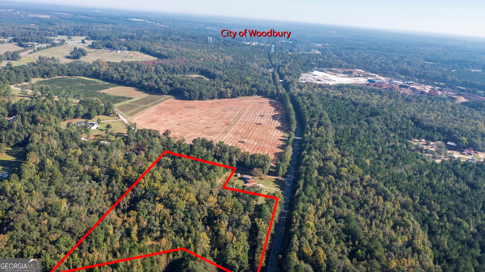 agriculture for sale at 0 Middlebrooks Road, Woodbury, GA 30293 — photo 8