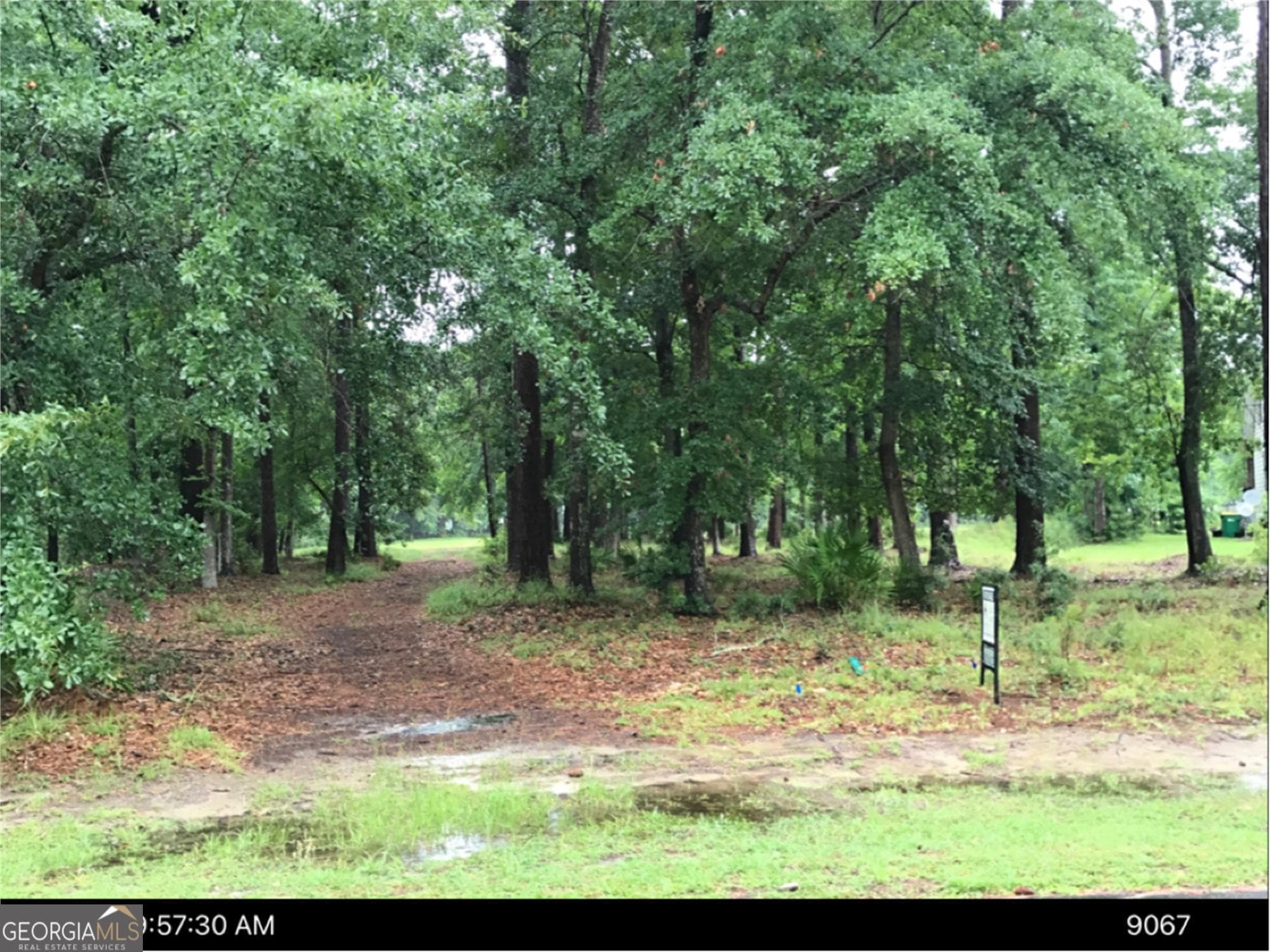 residential lot for sale at 0 Winterberry Court LOT 181, Townsend, GA 31331