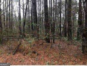 unimproved land for sale at 2115 LOGAN Drive, Jonesboro, GA 30236 — photo 6