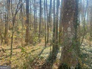 unimproved land for sale at 2115 LOGAN Drive, Jonesboro, GA 30236 — photo 7