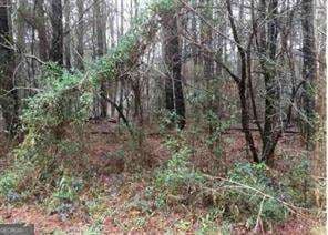 unimproved land for sale at 2115 LOGAN Drive, Jonesboro, GA 30236 — photo 5