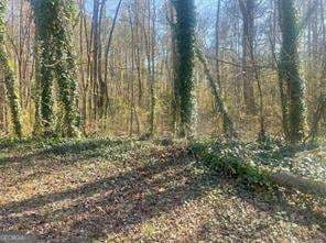 unimproved land for sale at 2115 LOGAN Drive, Jonesboro, GA 30236 — photo 9