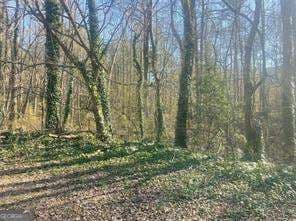 unimproved land for sale at 2115 LOGAN Drive, Jonesboro, GA 30236 — photo 10