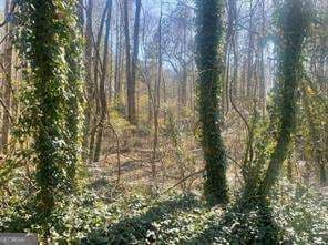 unimproved land for sale at 2115 LOGAN Drive, Jonesboro, GA 30236 — photo 8