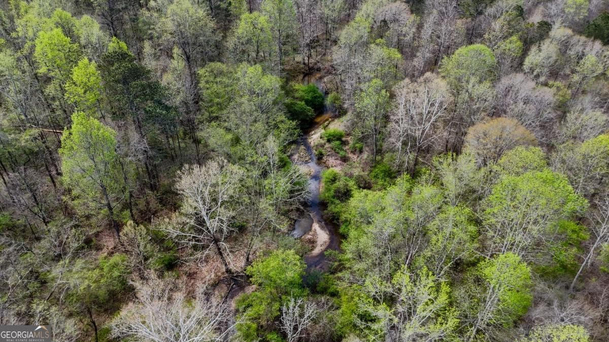 agriculture for sale at TRACT 2 Cross Plains Hulett, Carrollton, GA 30116 — photo 2