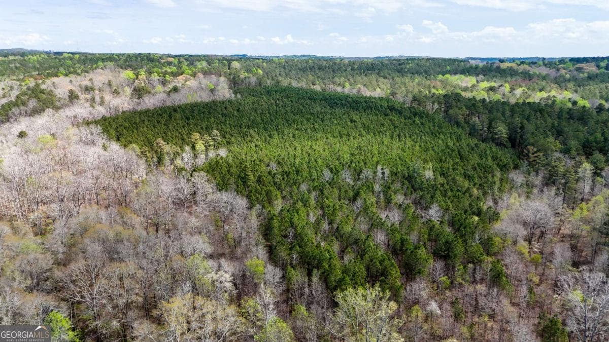 agriculture for sale at TRACT 2 Cross Plains Hulett, Carrollton, GA 30116 — photo 6