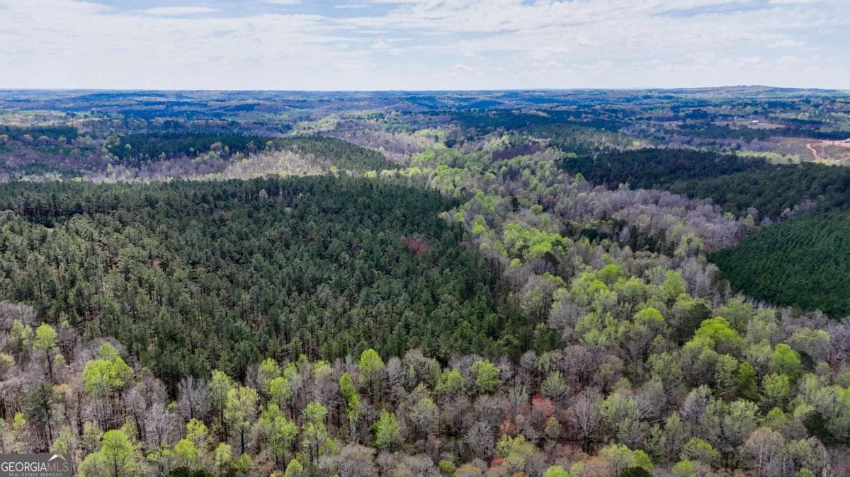 agriculture for sale at TRACT 2 Cross Plains Hulett, Carrollton, GA 30116 — photo 9