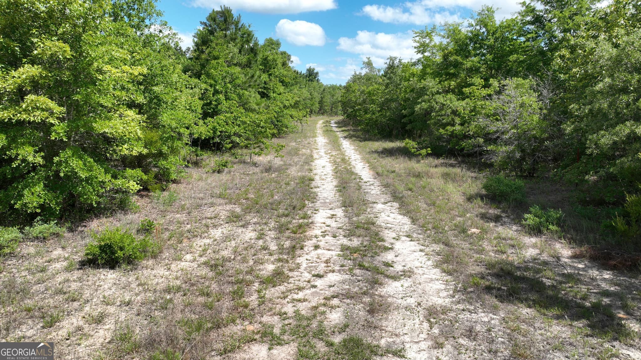 unimproved land for sale at 0 Clarks Mill Road, Avera, GA 30803 — photo 2