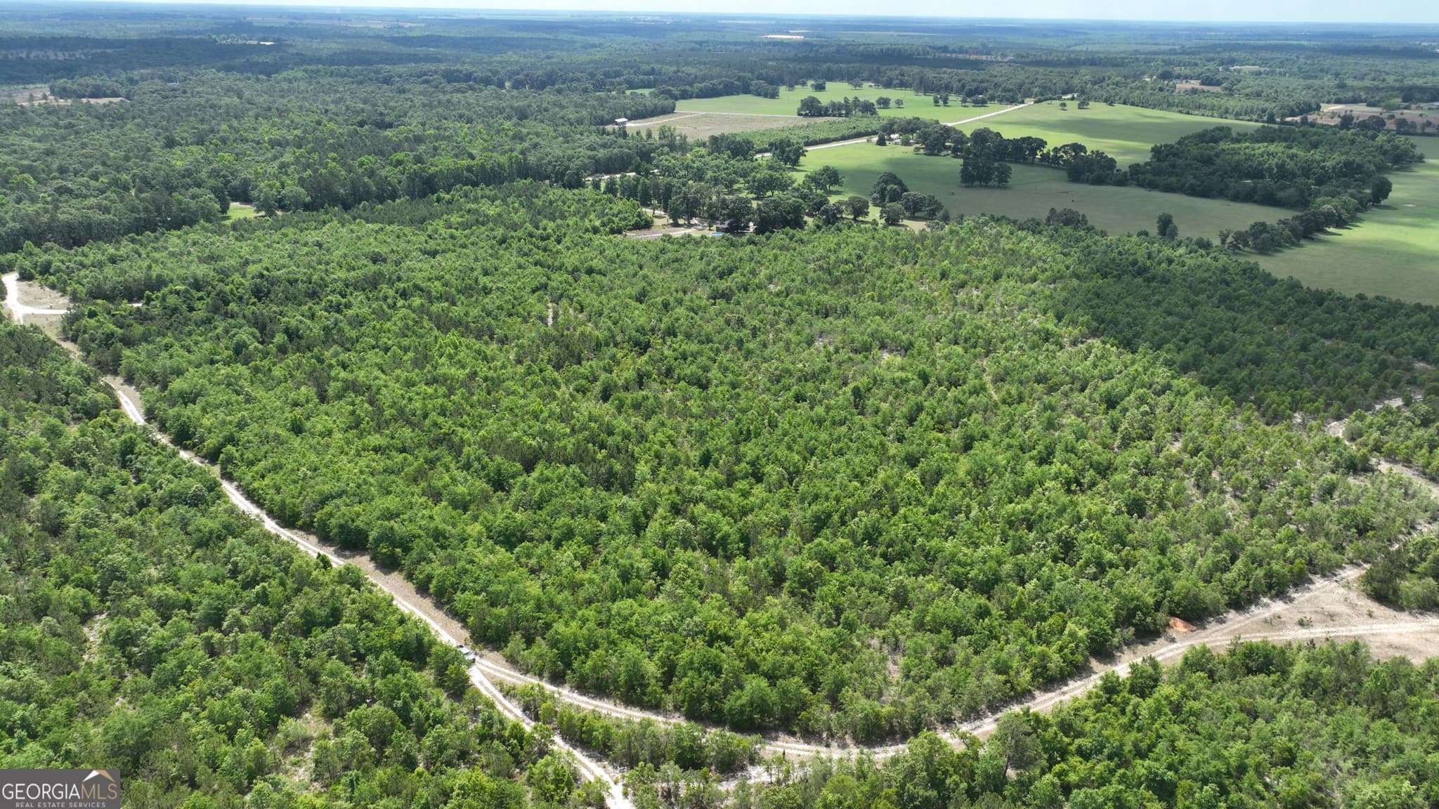 unimproved land for sale at 0 Clarks Mill Road, Avera, GA 30803 — photo 4