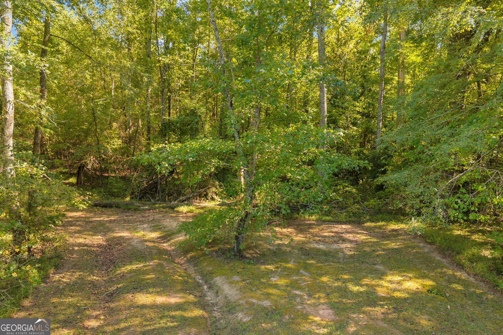 commercial for sale at 0 Athens Highway, Elberton, GA 30635 — photo 4