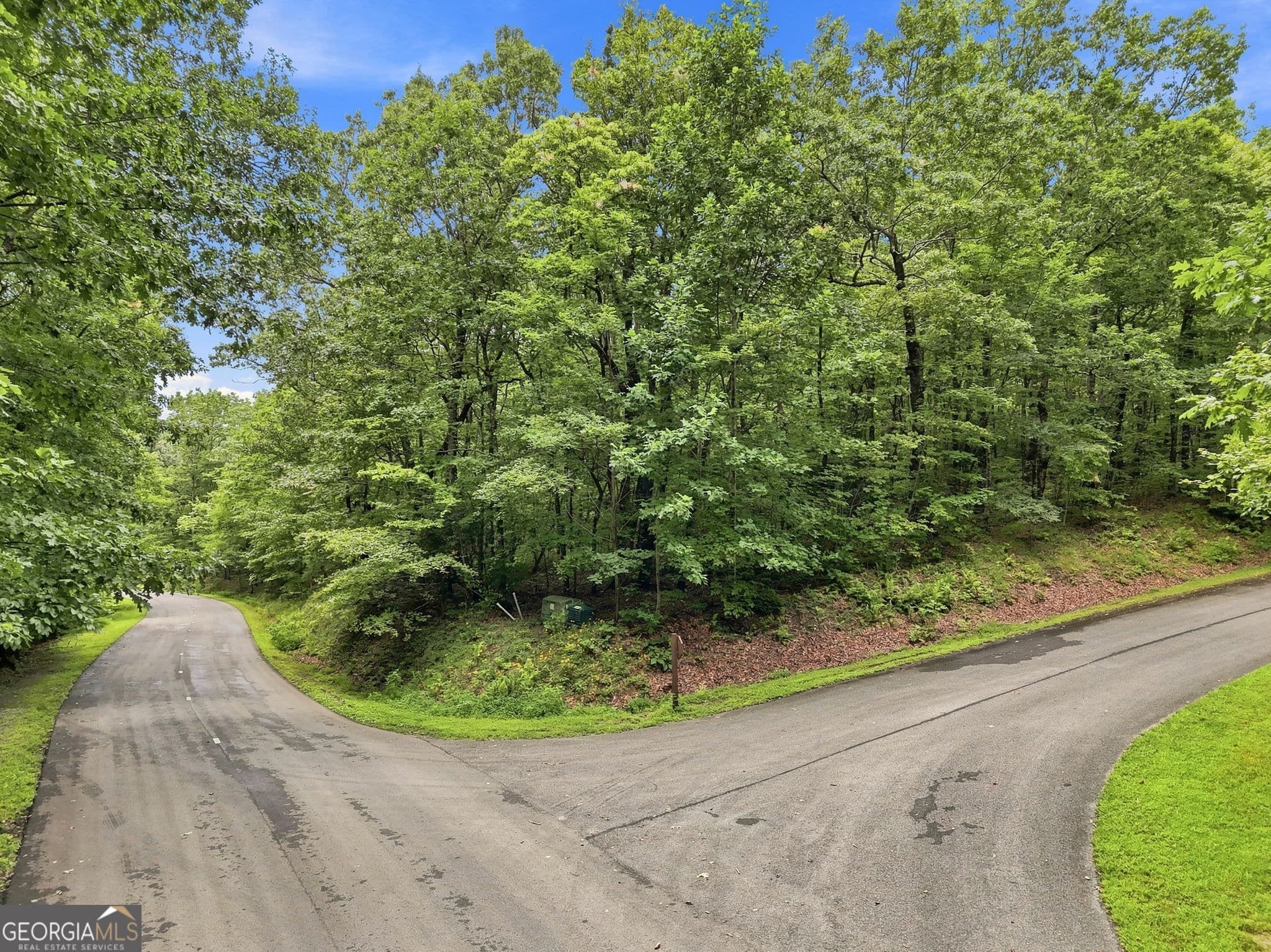 residential lot for sale at LOT197 St Andrews Way, Ellijay, GA 30536 — photo 2