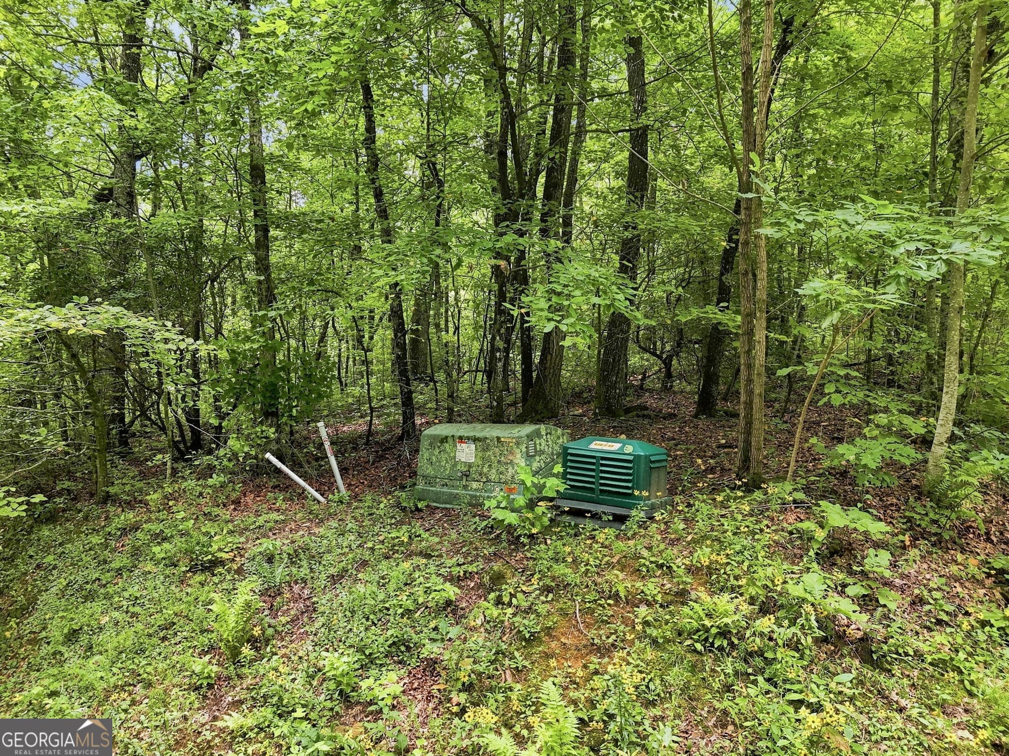 residential lot for sale at LOT197 St Andrews Way, Ellijay, GA 30536 — photo 3