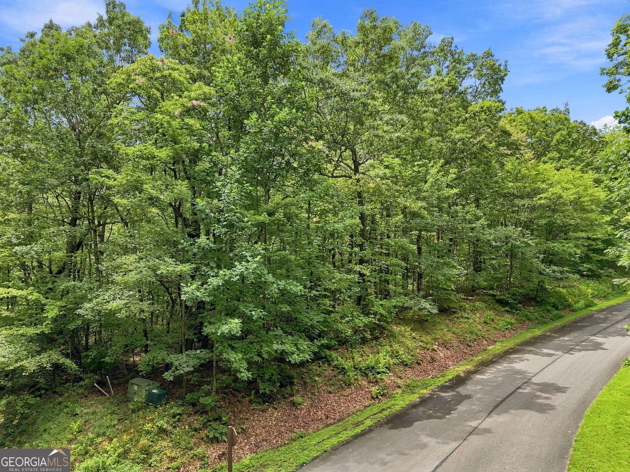 residential lot for sale at LOT197 St Andrews Way, Ellijay, GA 30536 — photo 1 of 3