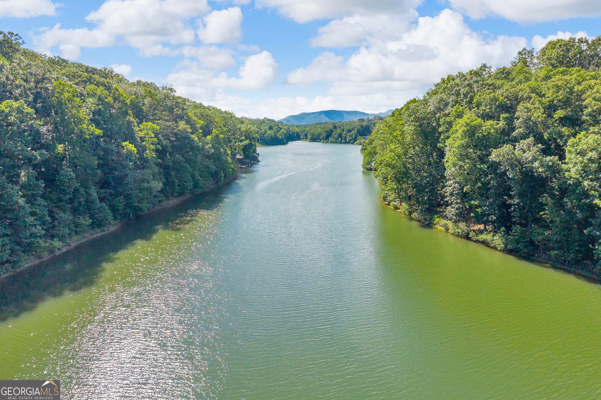 residential lot for sale at 0 Lake Watch Point, Cleveland, GA 30528 — photo 2