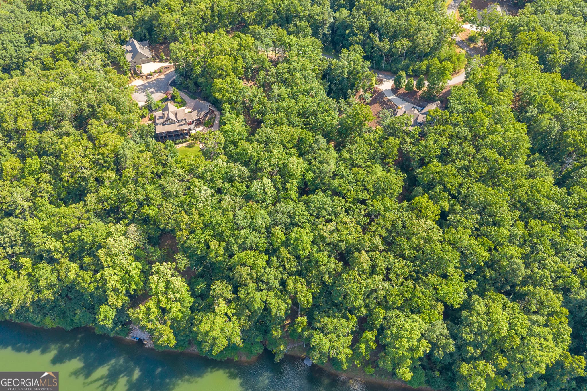 residential lot for sale at 0 Lake Watch Point, Cleveland, GA 30528 — photo 6