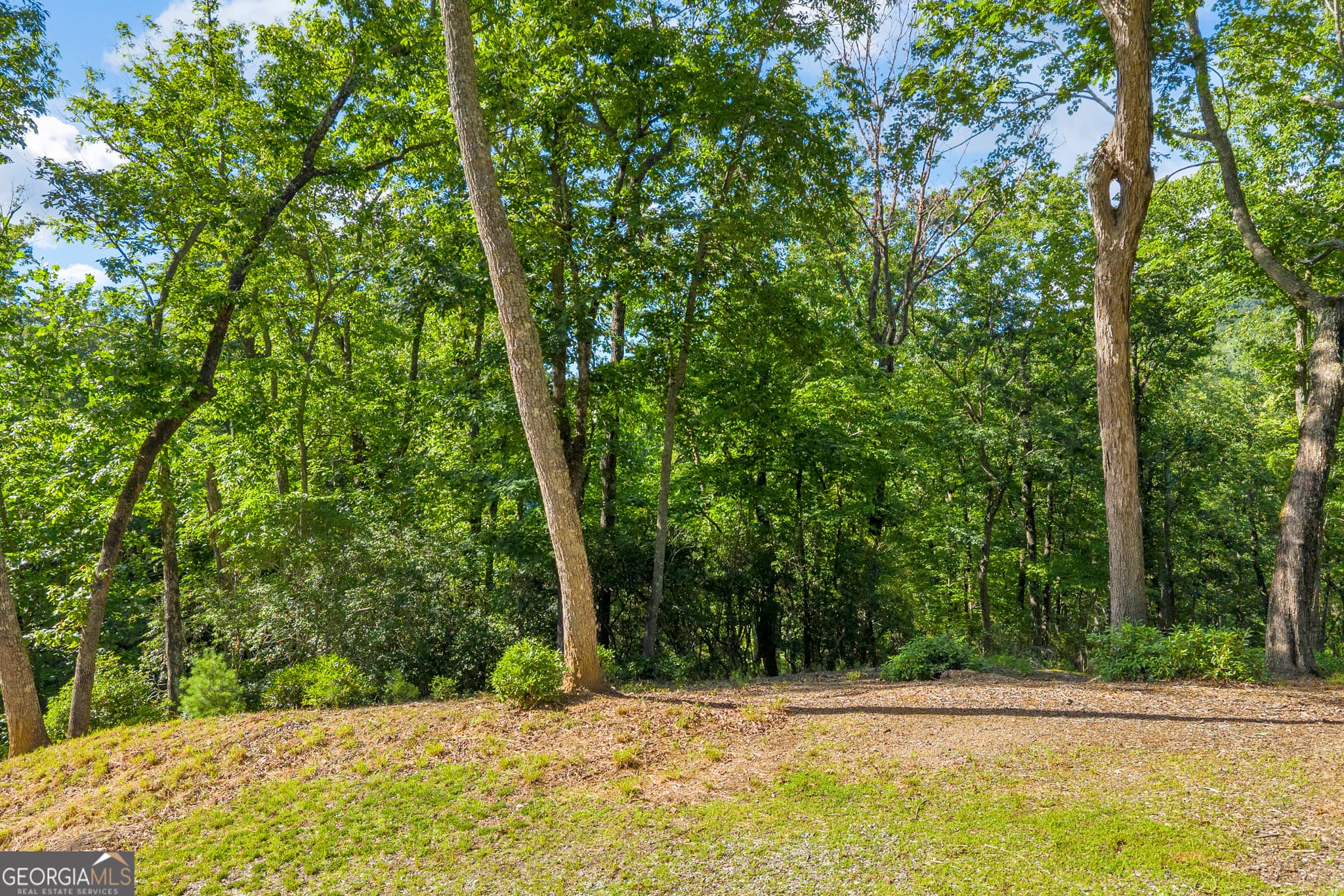 residential lot for sale at 0 Lake Watch Point, Cleveland, GA 30528 — photo 7