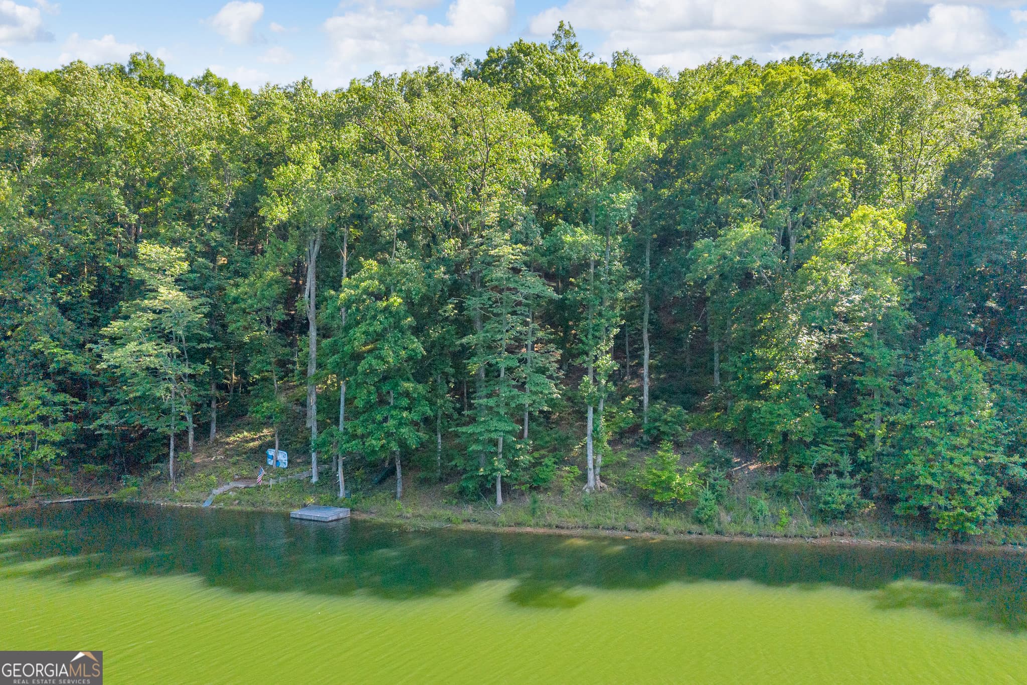 residential lot for sale at 0 Lake Watch Point, Cleveland, GA 30528 — photo 5