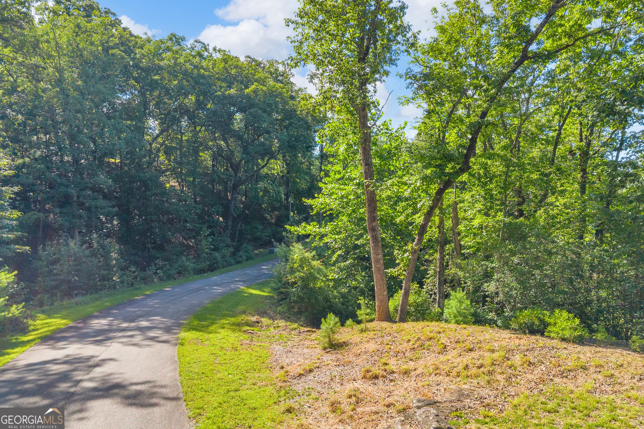 residential lot for sale at 0 Lake Watch Point, Cleveland, GA 30528 — photo 9