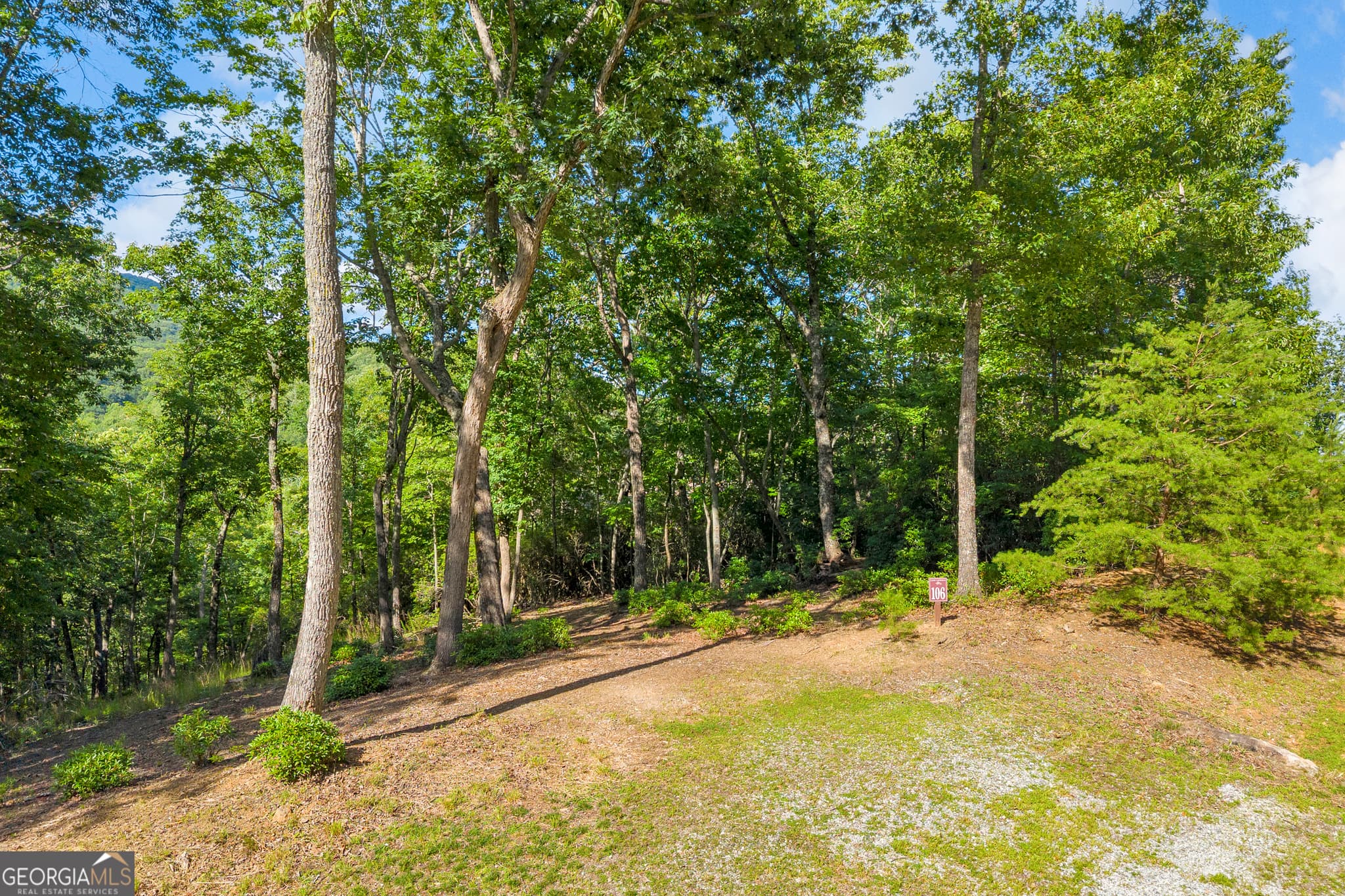 residential lot for sale at 0 Lake Watch Point, Cleveland, GA 30528 — photo 10