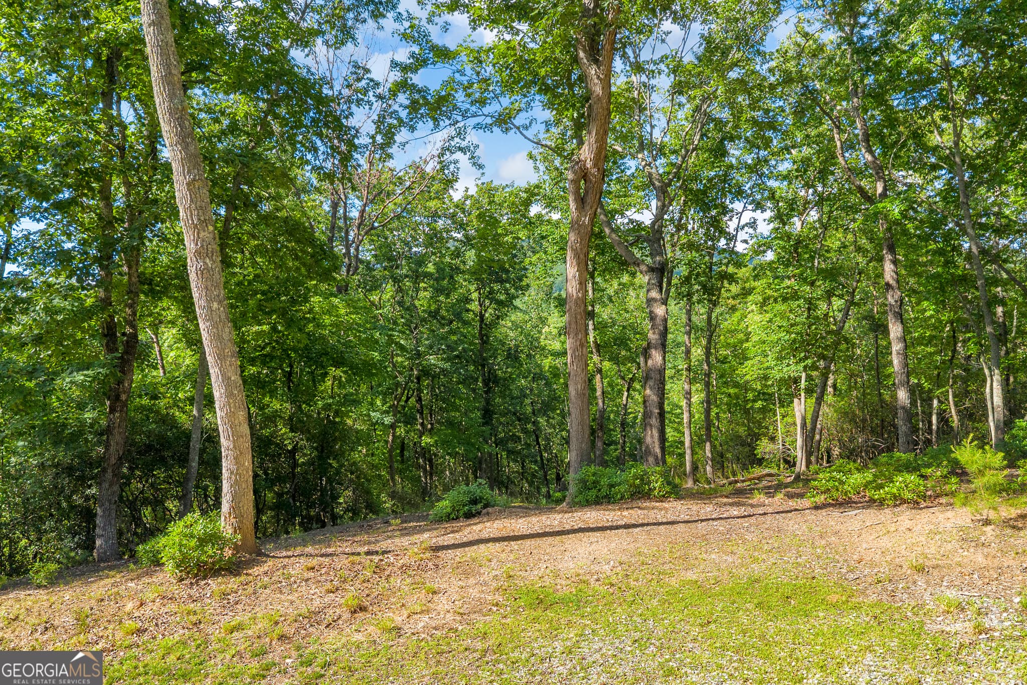 residential lot for sale at 0 Lake Watch Point, Cleveland, GA 30528 — photo 8