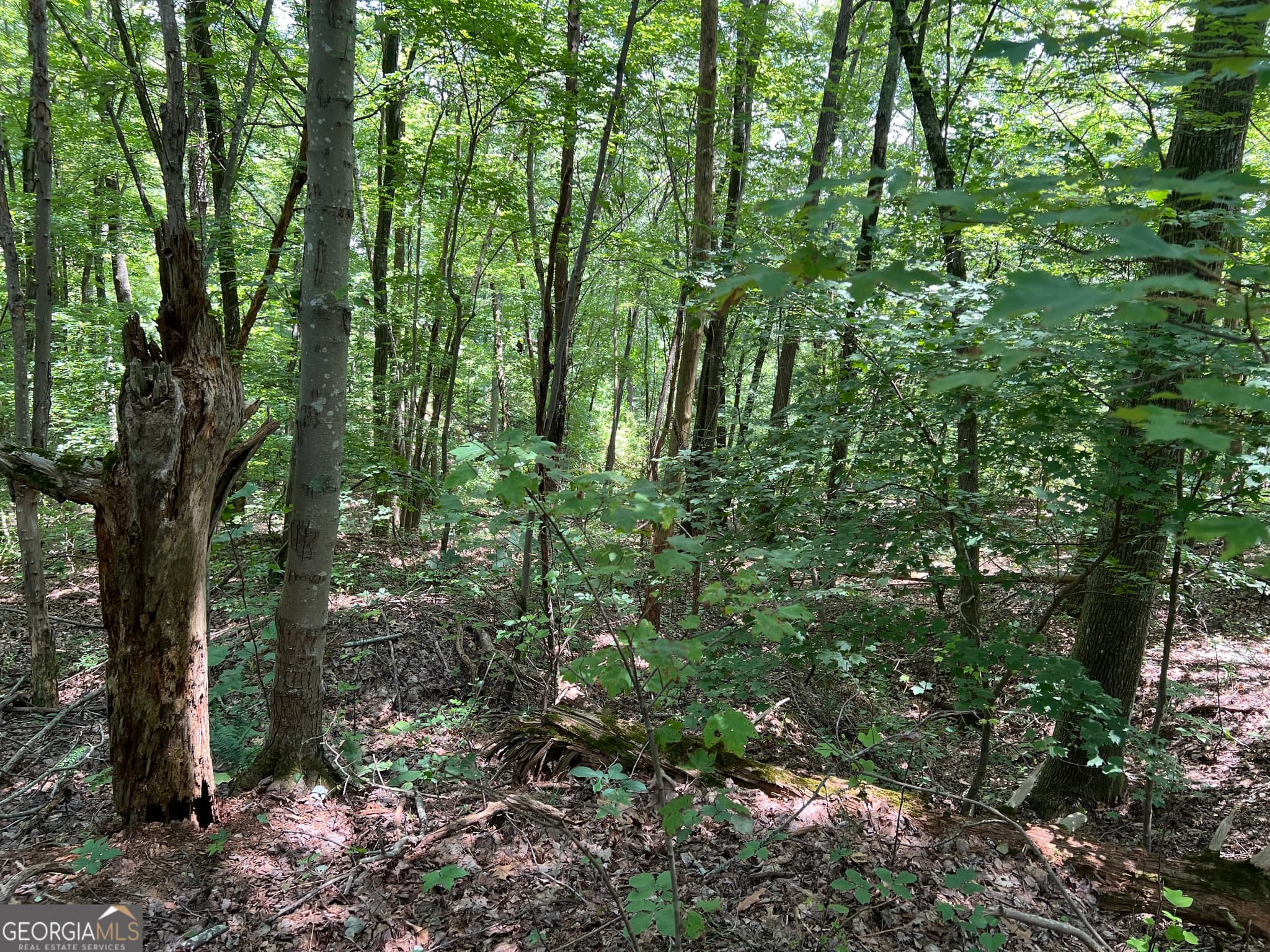 residential lot for sale at 0 Lavender Trail, Rome, GA 30165 — photo 2